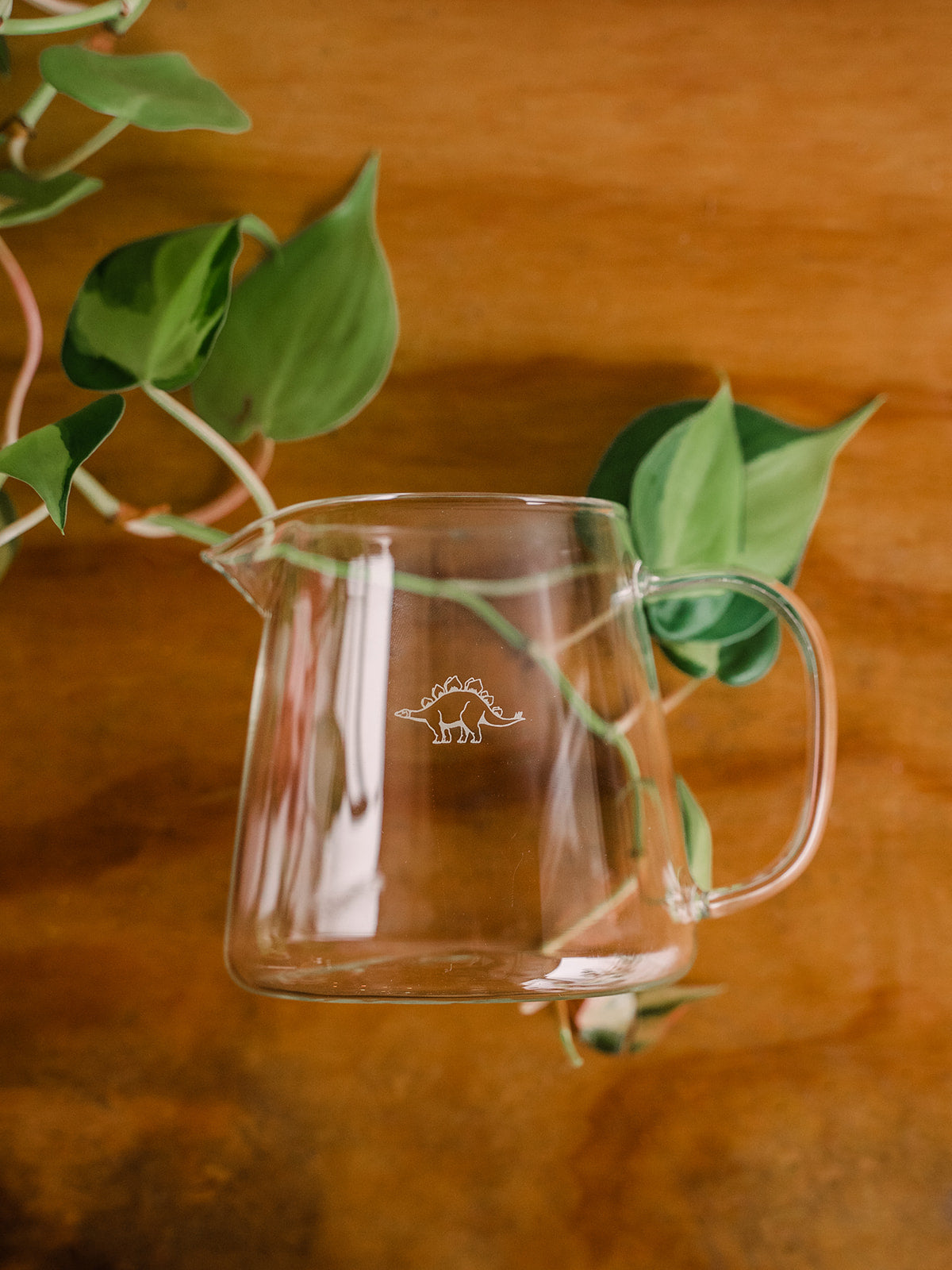 A clear glass carafe with a dinosaur logo. The carafe is laying on top of a wooden table and some green plant leaves.