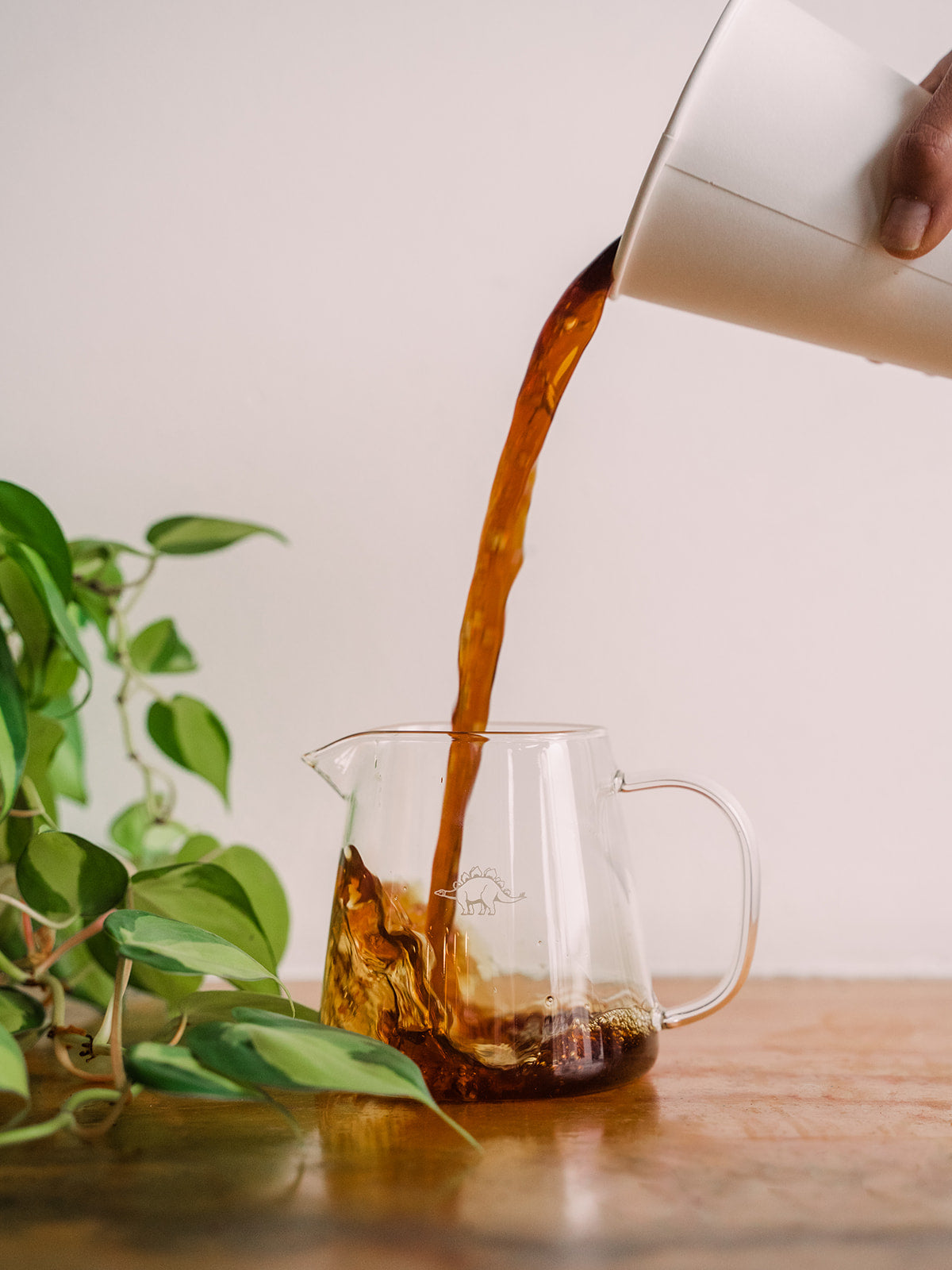 A photo of an out-of-frame hand pouring coffee from a white paper cup into a clear glass carafe beside some green plant leaves